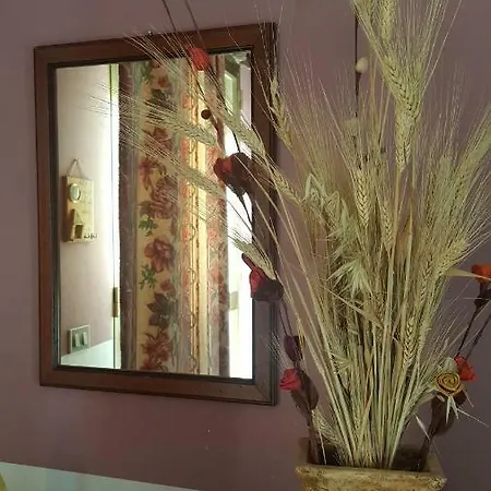 Casa Degli Ulivi Casa vacanze *