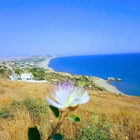 Casa Degli Ulivi Holiday home *
